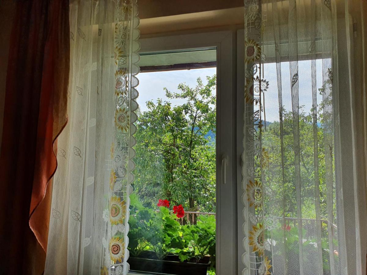 Apartamenty Straconka ,บีเอสโก-เบียวา ภายนอก รูปภาพ